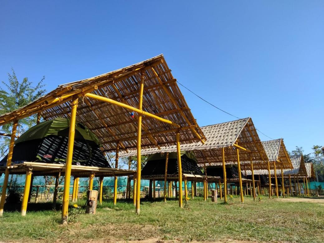 Tiger'S Wood Glamping & Eco-Retreat Kāziranga Exterior photo