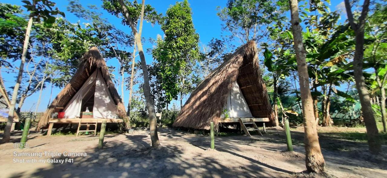 Tiger'S Wood Glamping & Eco-Retreat Kāziranga Exterior photo