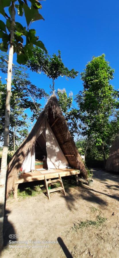 Tiger'S Wood Glamping & Eco-Retreat Kāziranga Exterior photo