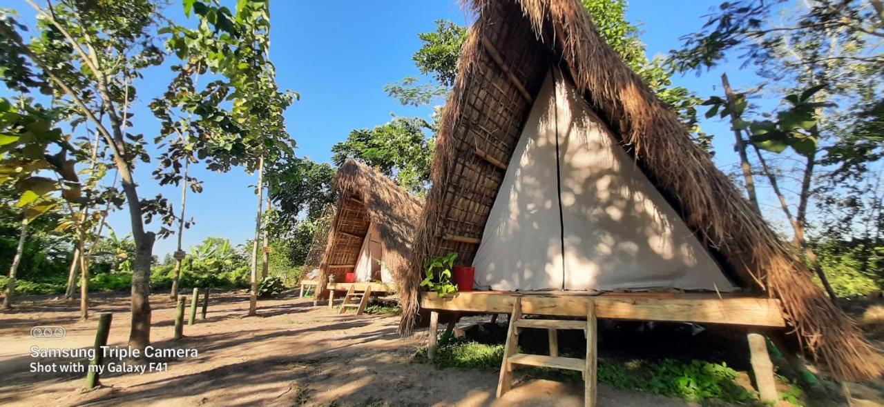 Tiger'S Wood Glamping & Eco-Retreat Kāziranga Exterior photo