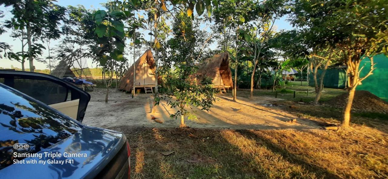 Tiger'S Wood Glamping & Eco-Retreat Kāziranga Exterior photo