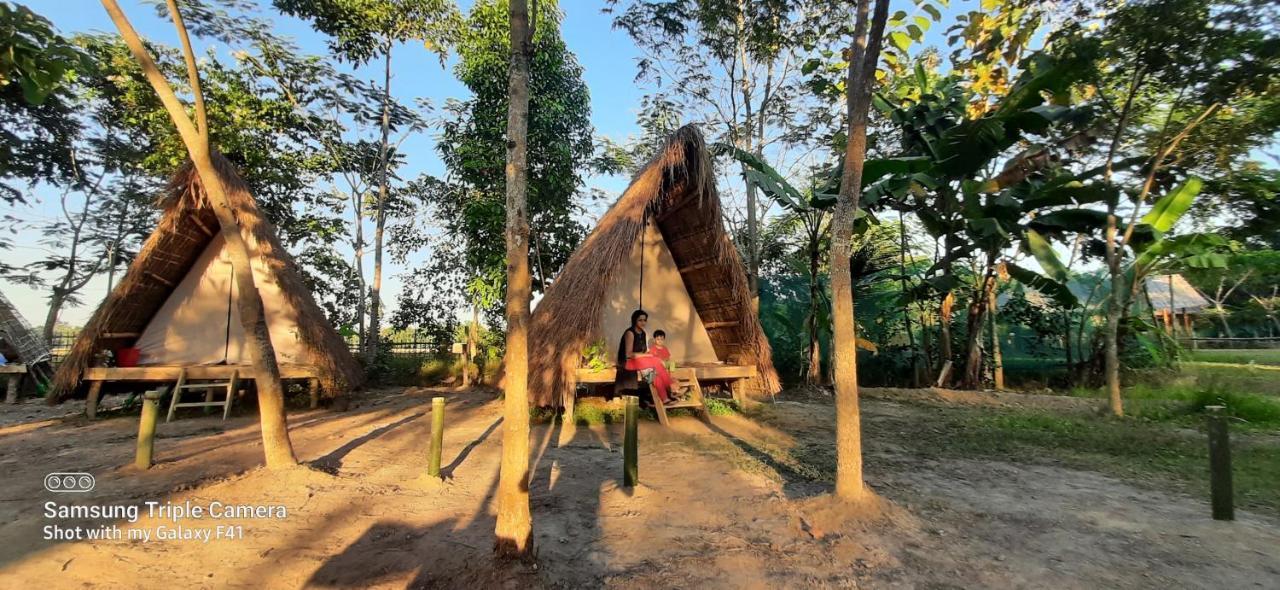 Tiger'S Wood Glamping & Eco-Retreat Kāziranga Exterior photo