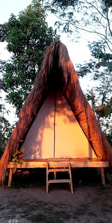 Tiger'S Wood Glamping & Eco-Retreat Kāziranga Exterior photo